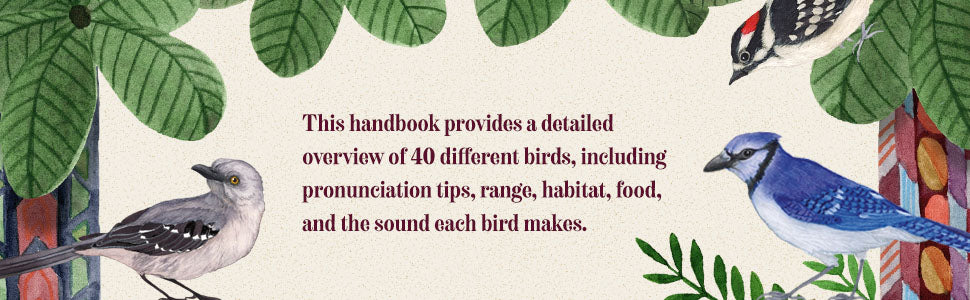 Book - The Junior Birder's Handbook: A Kid's Guide to Birdwatching (The Junior Handbook Series) (Hardback)