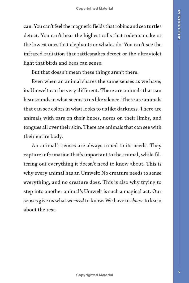 Book - An Immense World (Young Readers Edition): How Animals Sense Earth's Amazing Secrets by Ed Yong (Hardback)