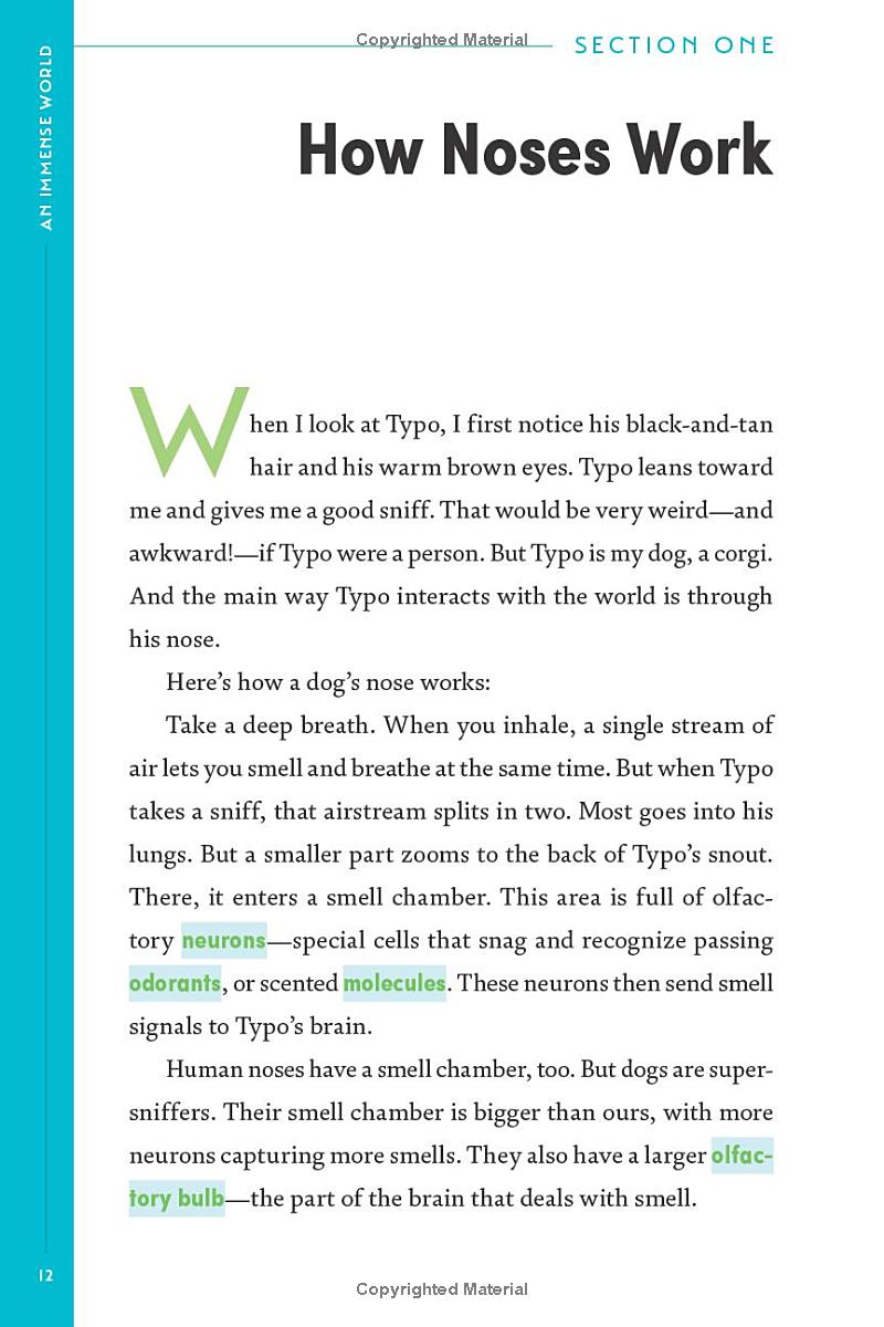 Book - An Immense World (Young Readers Edition): How Animals Sense Earth's Amazing Secrets by Ed Yong (Hardback)