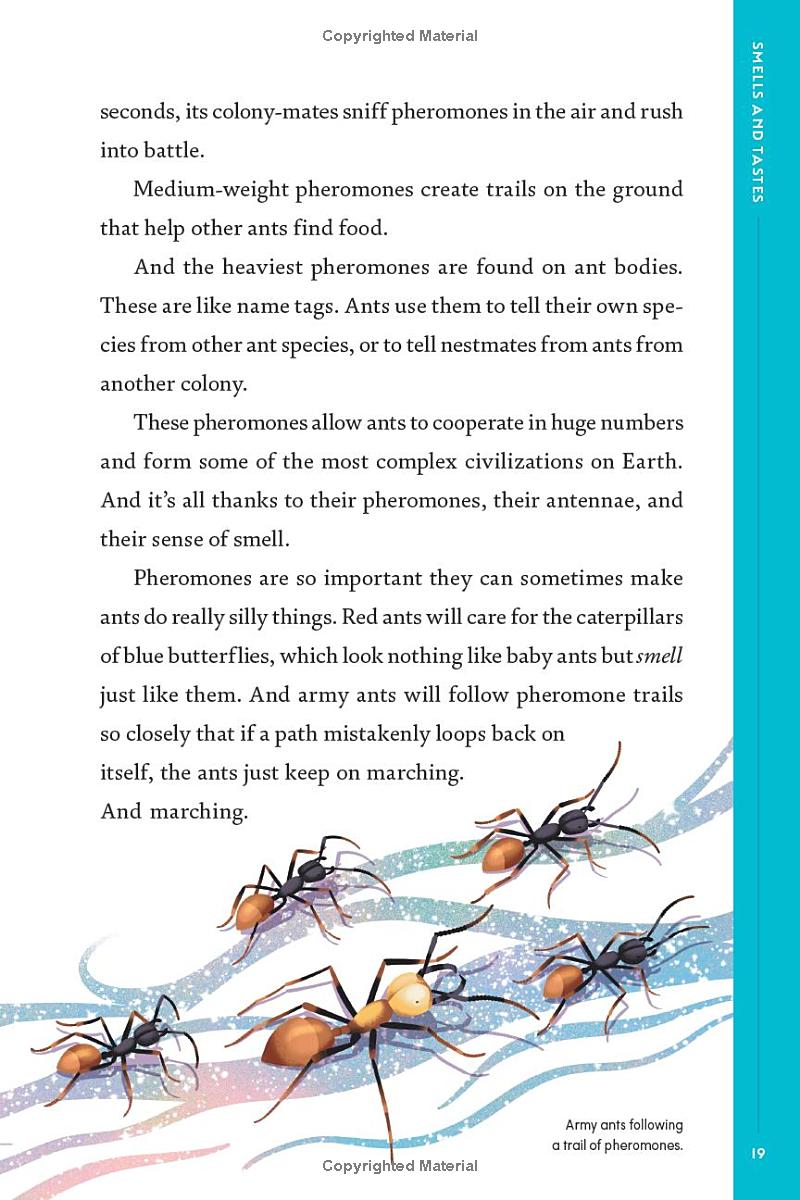 Book - An Immense World (Young Readers Edition): How Animals Sense Earth's Amazing Secrets by Ed Yong (Hardback)