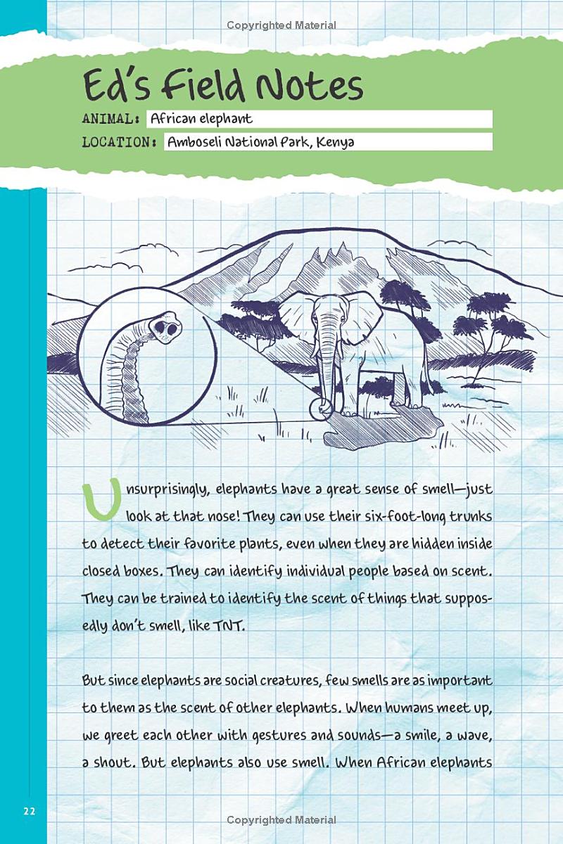 Book - An Immense World (Young Readers Edition): How Animals Sense Earth's Amazing Secrets by Ed Yong (Hardback)