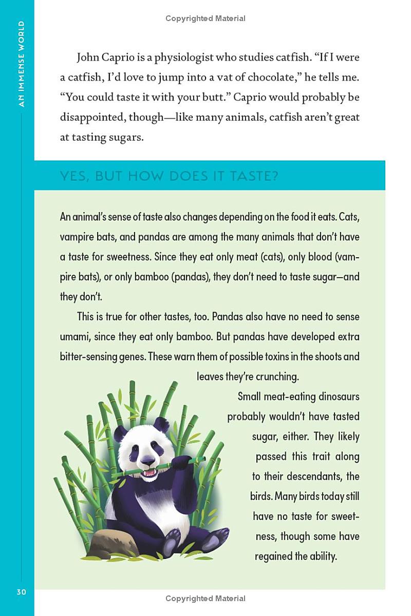 Book - An Immense World (Young Readers Edition): How Animals Sense Earth's Amazing Secrets by Ed Yong (Hardback)