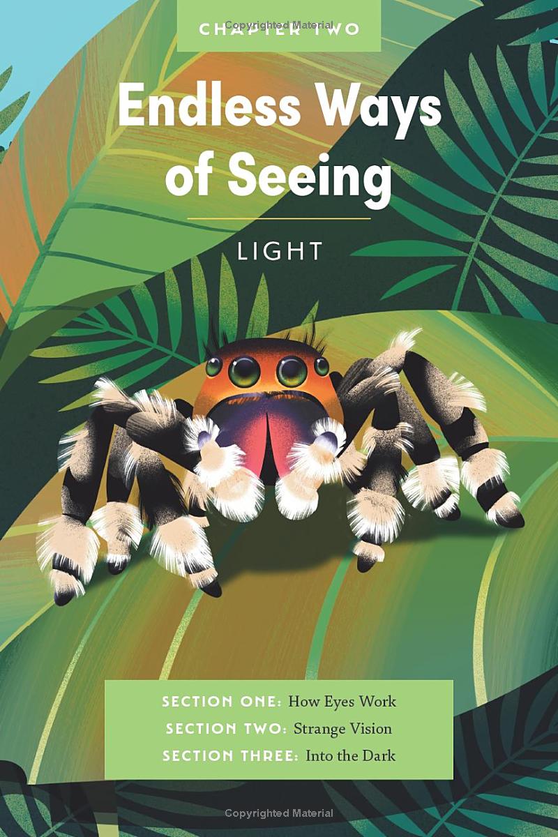 Book - An Immense World (Young Readers Edition): How Animals Sense Earth's Amazing Secrets by Ed Yong (Hardback)