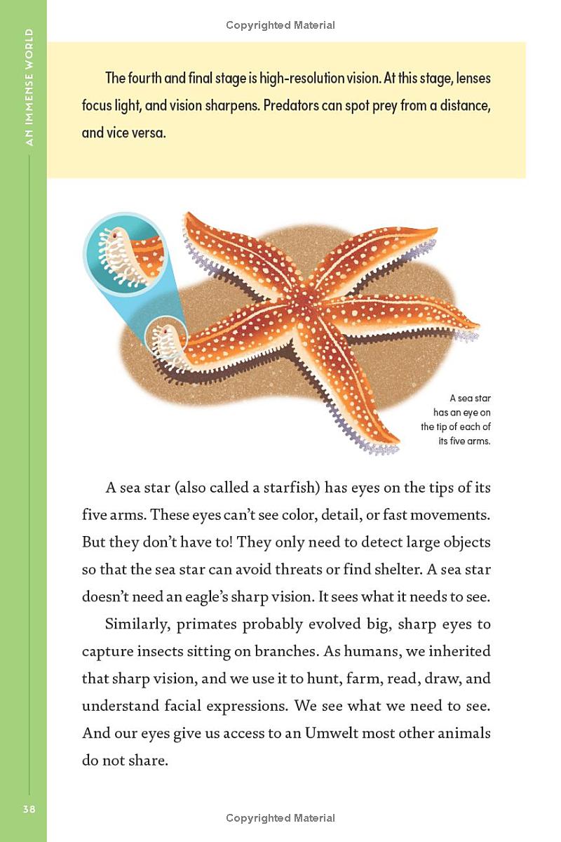 Book - An Immense World (Young Readers Edition): How Animals Sense Earth's Amazing Secrets by Ed Yong (Hardback)