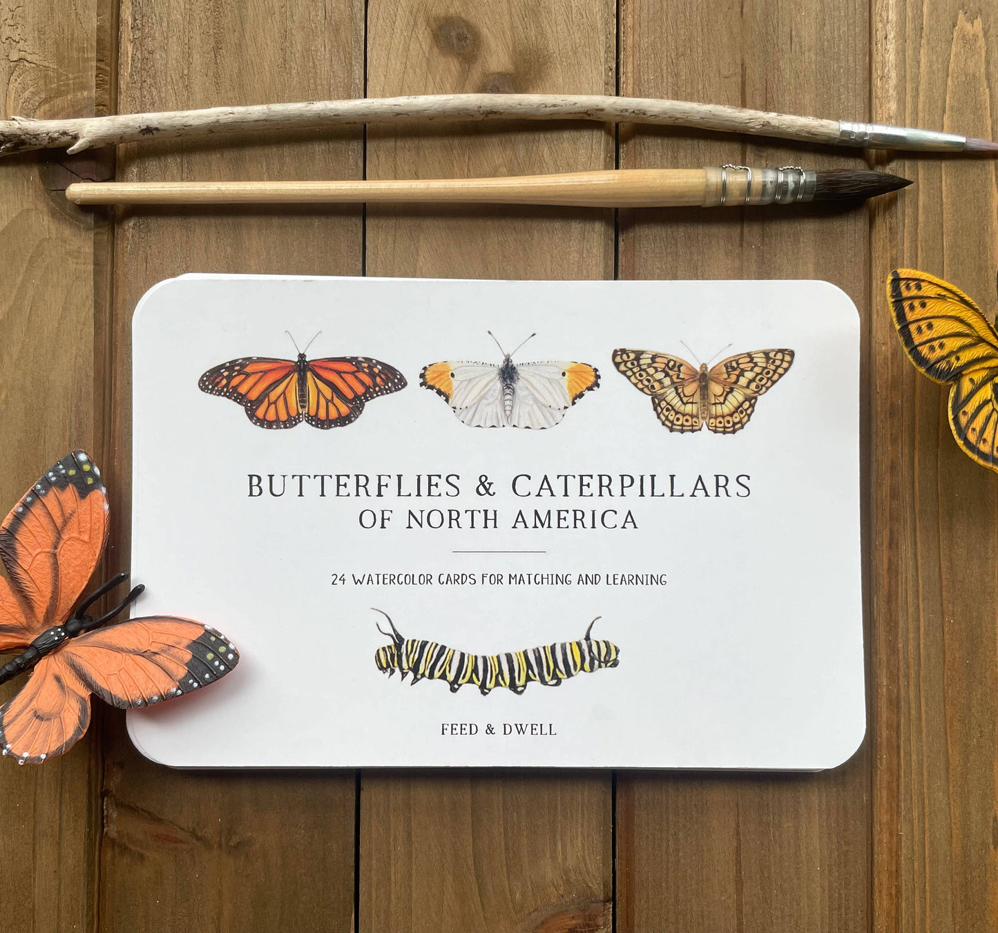 Montessori Learning Cards - Butterflies and Caterpillars