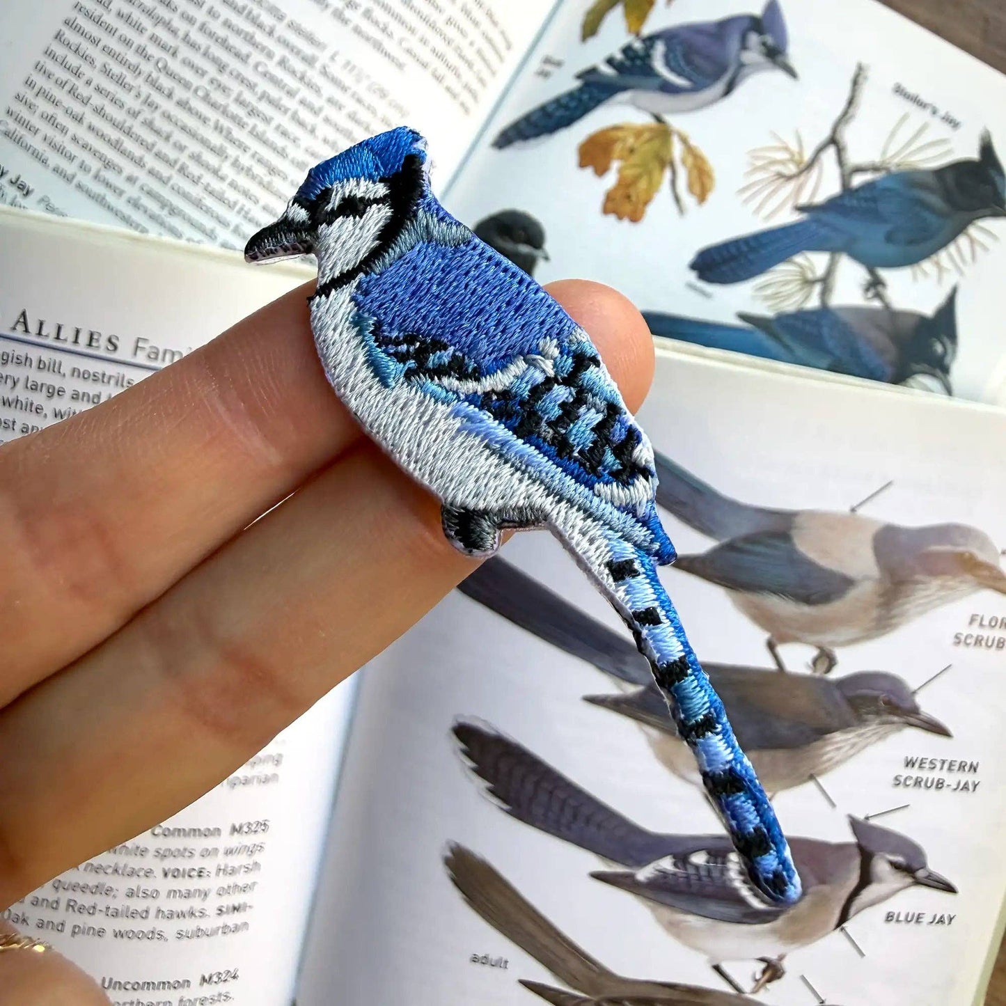 Bird Patch - Blue Jay (#80 of collection)