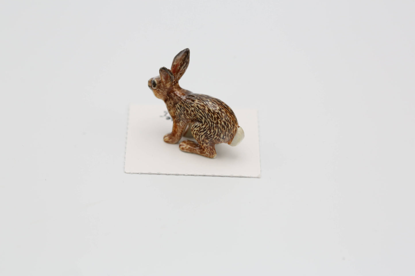 Little Critterz Porcelain Miniature - "Freeze" Cottontail Bunny