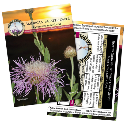 Plants for Birds - American Basketflower - Small Pack (Native American Seed)