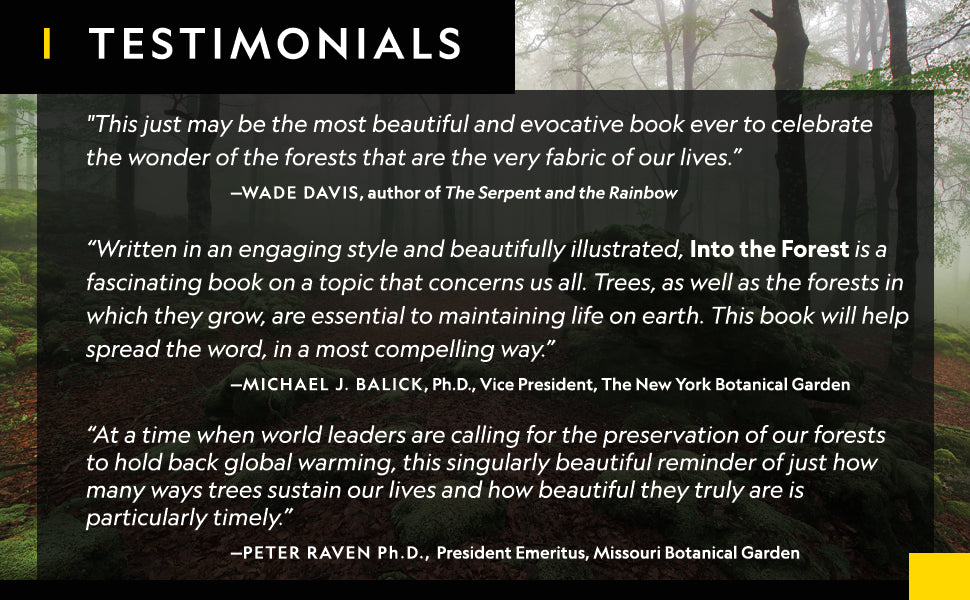 Book - Into the Forest: The Secret Language of Trees by Susan Tyler Hitchcock (Hardback)