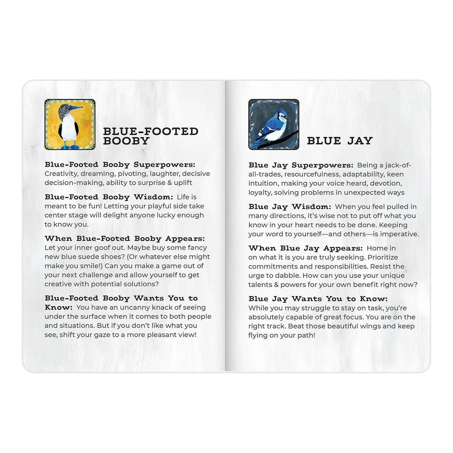 Animal Allies Birds Oracle Deck: An Uplifting 50-Card Oracle Deck with Guidebook by Jessica Swift