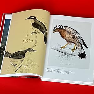Book - Birds of the World: The Art of Elizabeth Gould by Andrea Hart and Ann Datta (Hardback)