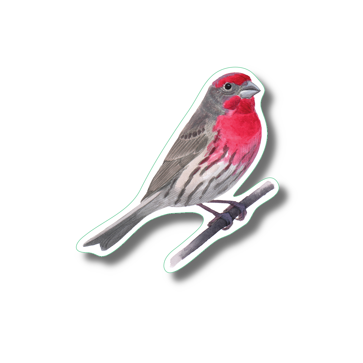 Sticker - House Finch Nature Sticker, 2.5" x 3.5"