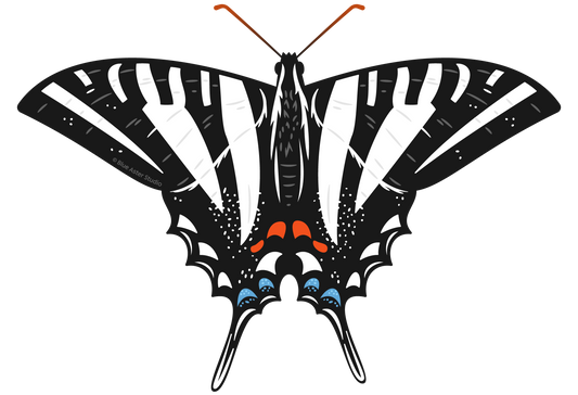 Sticker - Zebra Swallowtail Butterfly