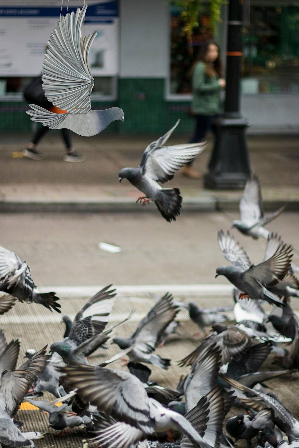 Flying Bird Mobile - Pigeon