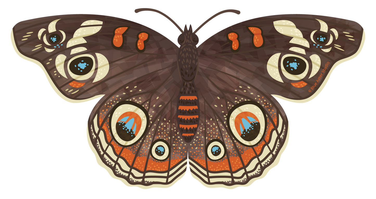 Sticker - Buckeye Butterfly