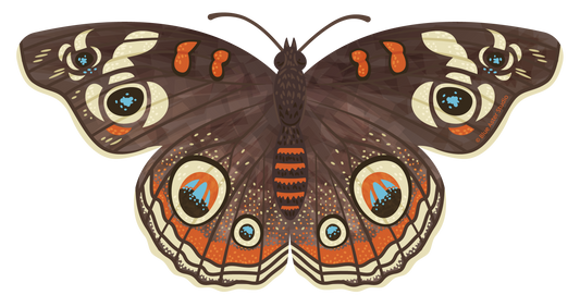 Sticker - Buckeye Butterfly