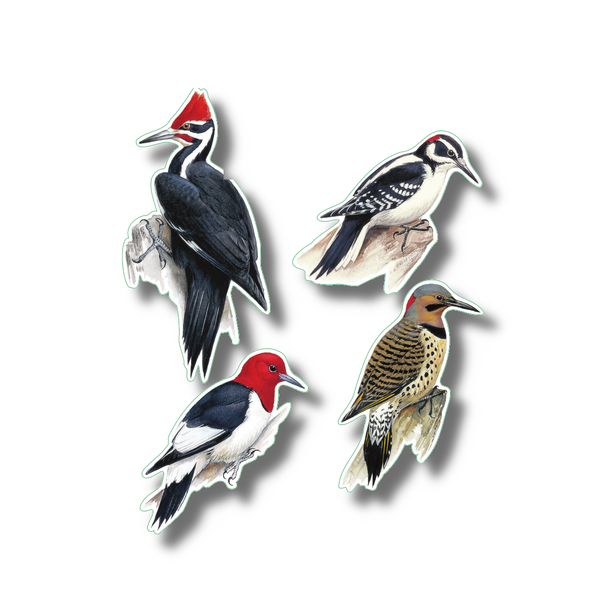 Sticker Sheet - Woodpeckers Nature Stickers, 5" x 7"