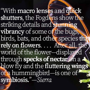 Book - Natural History of Flowers (Gideon Lincecum Nature and Environment Series) by Michael Fogden and Patricia Fogden (Hardback)