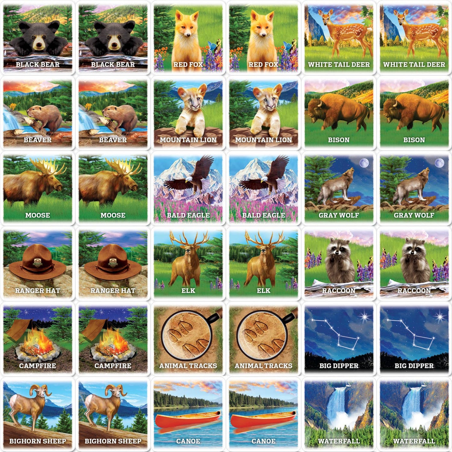 Kid Games - Junior Ranger - Matching Game