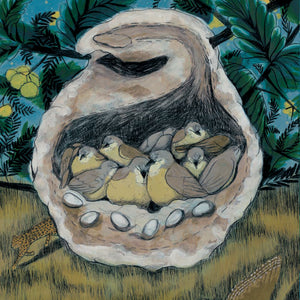 Book - How Birds Sleep by Sarah Pedry and David Obuchowski (Hardback)