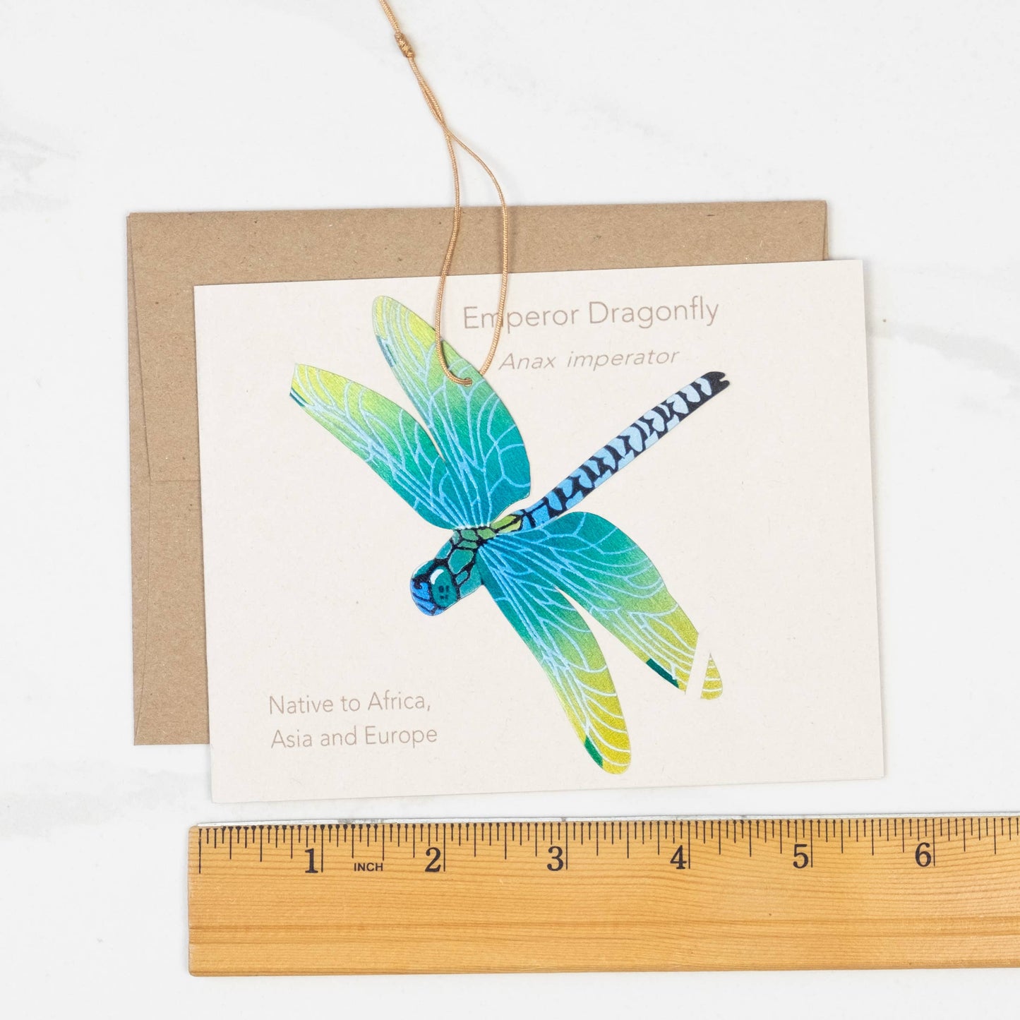 Greeting Card - Dragonfly Ornament + Notecard