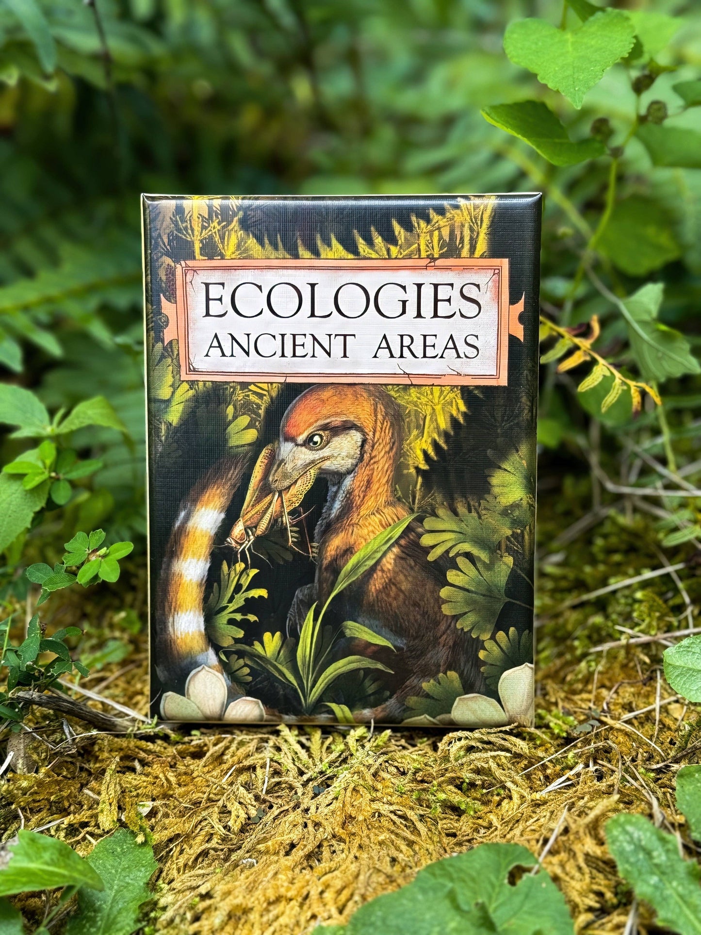 Games - Ecologies Ancient Areas (Expansion Pack)