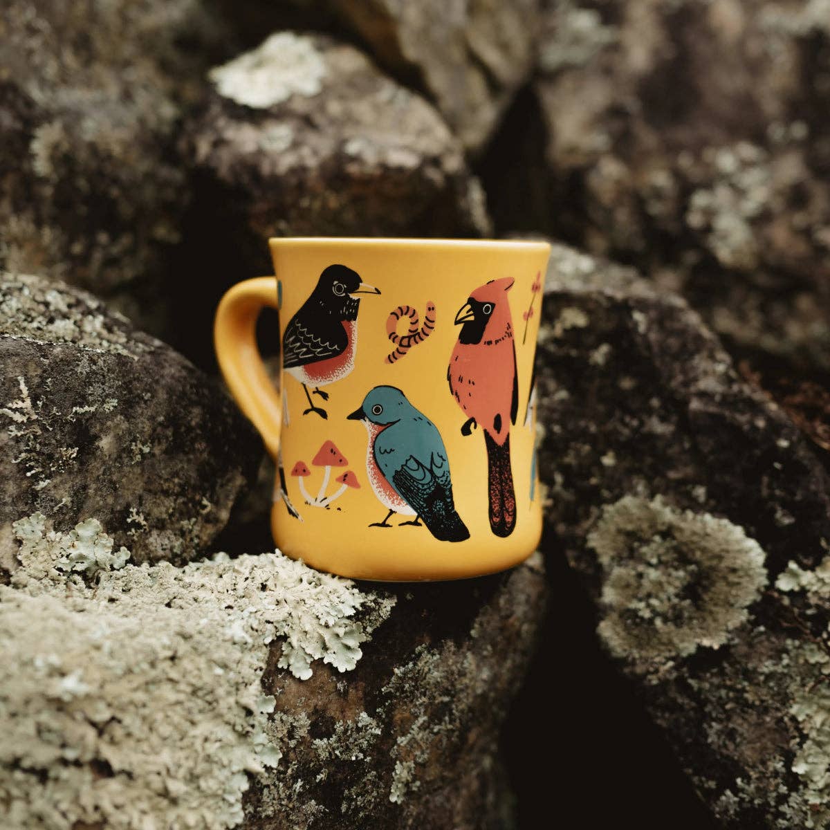 Mug - Eastern Backyard Birds