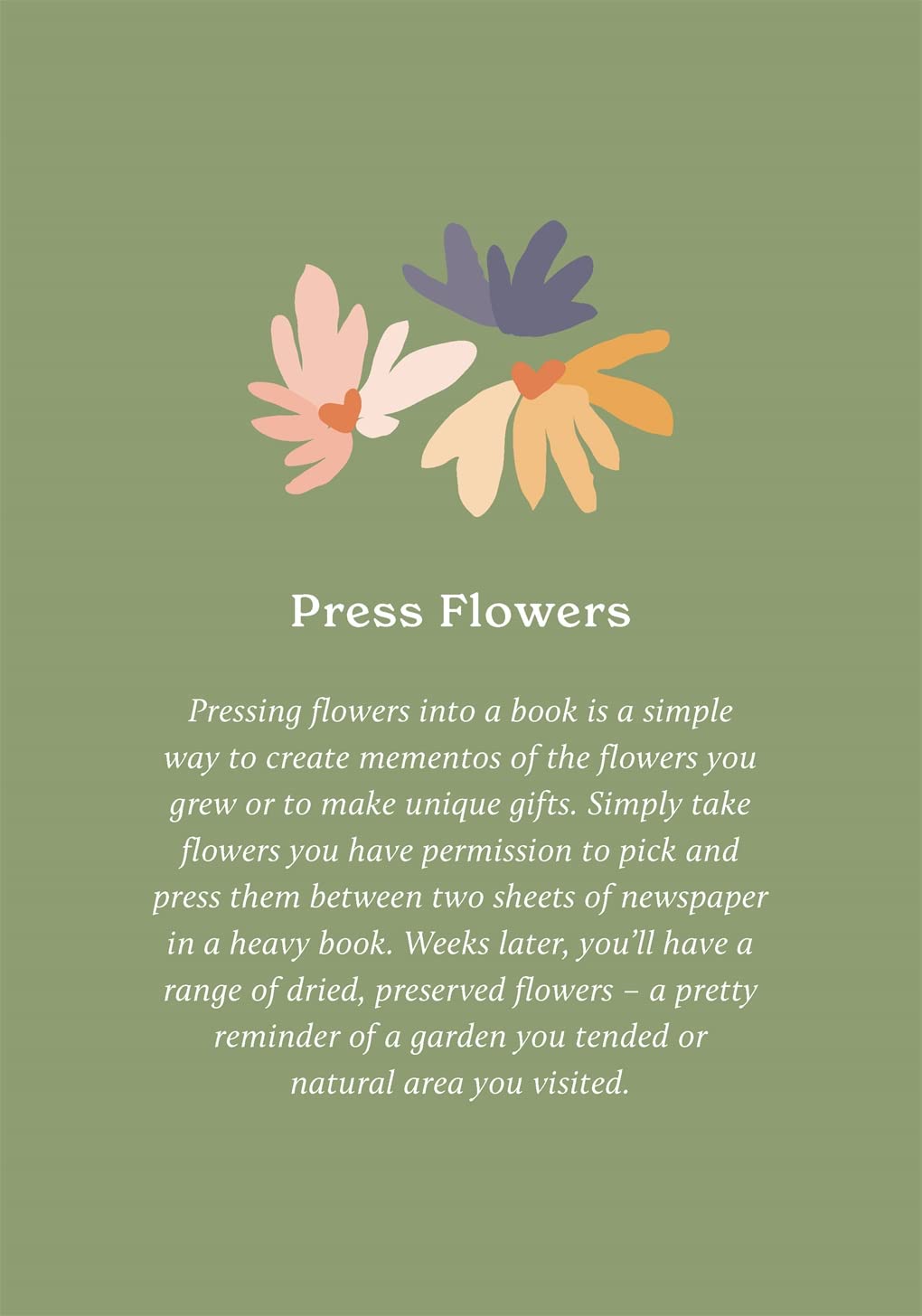 Gifts - Boxed Cards/Novelty Book - 100 Ways to Reconnect with Nature: Everyday Cards for Wherever You Live (Not Bound)