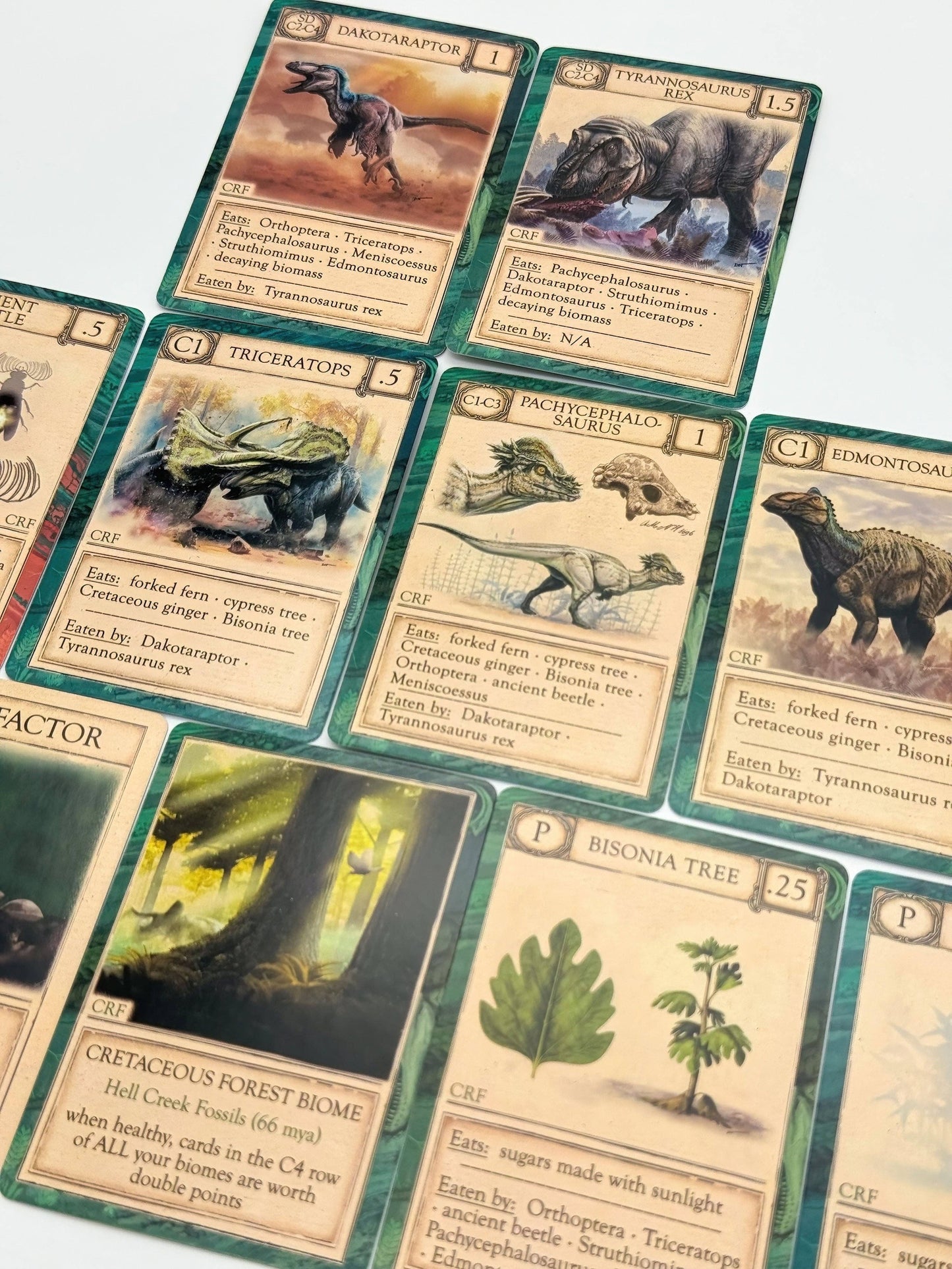 Games - Ecologies Ancient Areas (Expansion Pack)