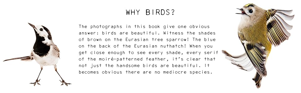 Book - Close to Birds: An Intimate Look at Our Feathered Friends by Mats Ottosson and Asa Ottosson (Hardback)