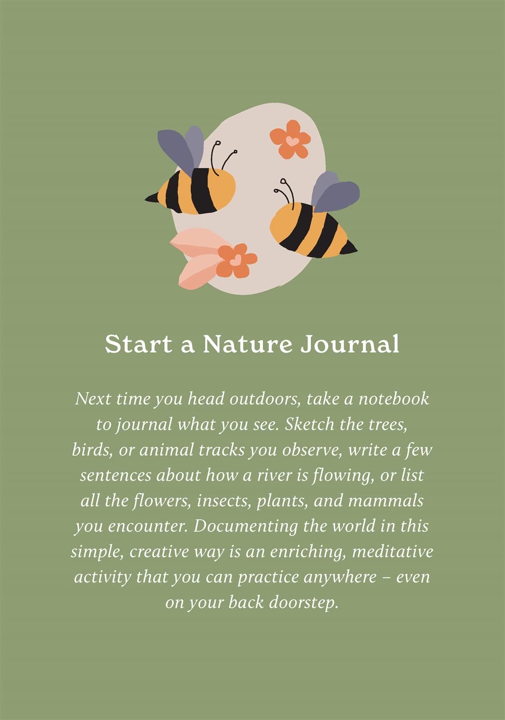 Gifts - Boxed Cards/Novelty Book - 100 Ways to Reconnect with Nature: Everyday Cards for Wherever You Live (Not Bound)