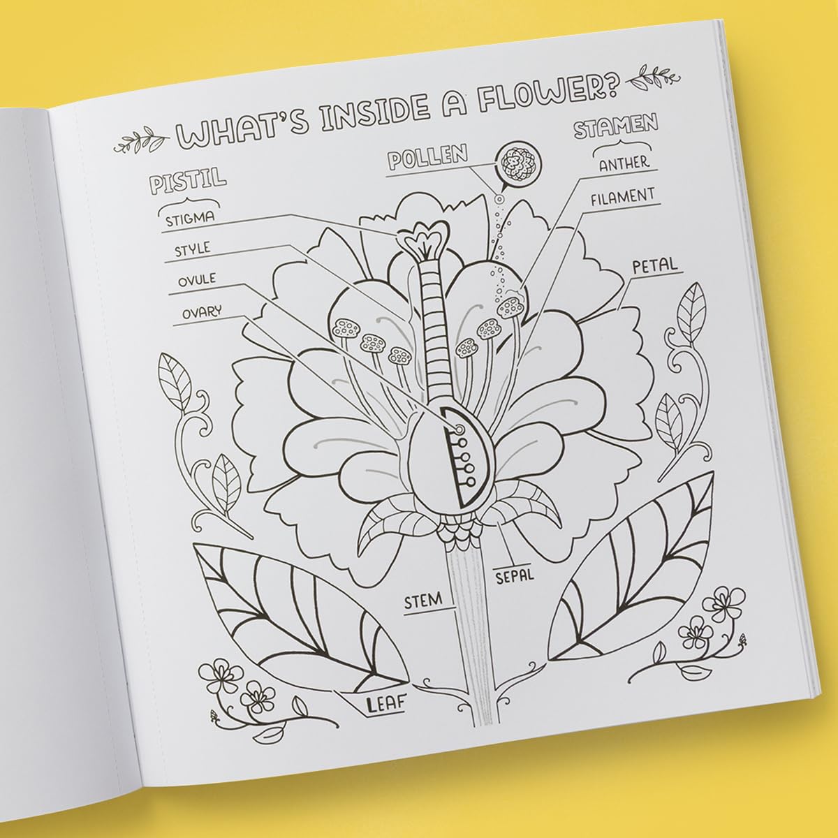Book - What's Inside a Garden?: Science and Nature Coloring Book: 40 Drawings to Color by Rachel Ignotofsky (Paperback)
