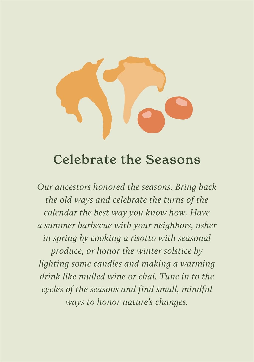 Gifts - Boxed Cards/Novelty Book - 100 Ways to Reconnect with Nature: Everyday Cards for Wherever You Live (Not Bound)