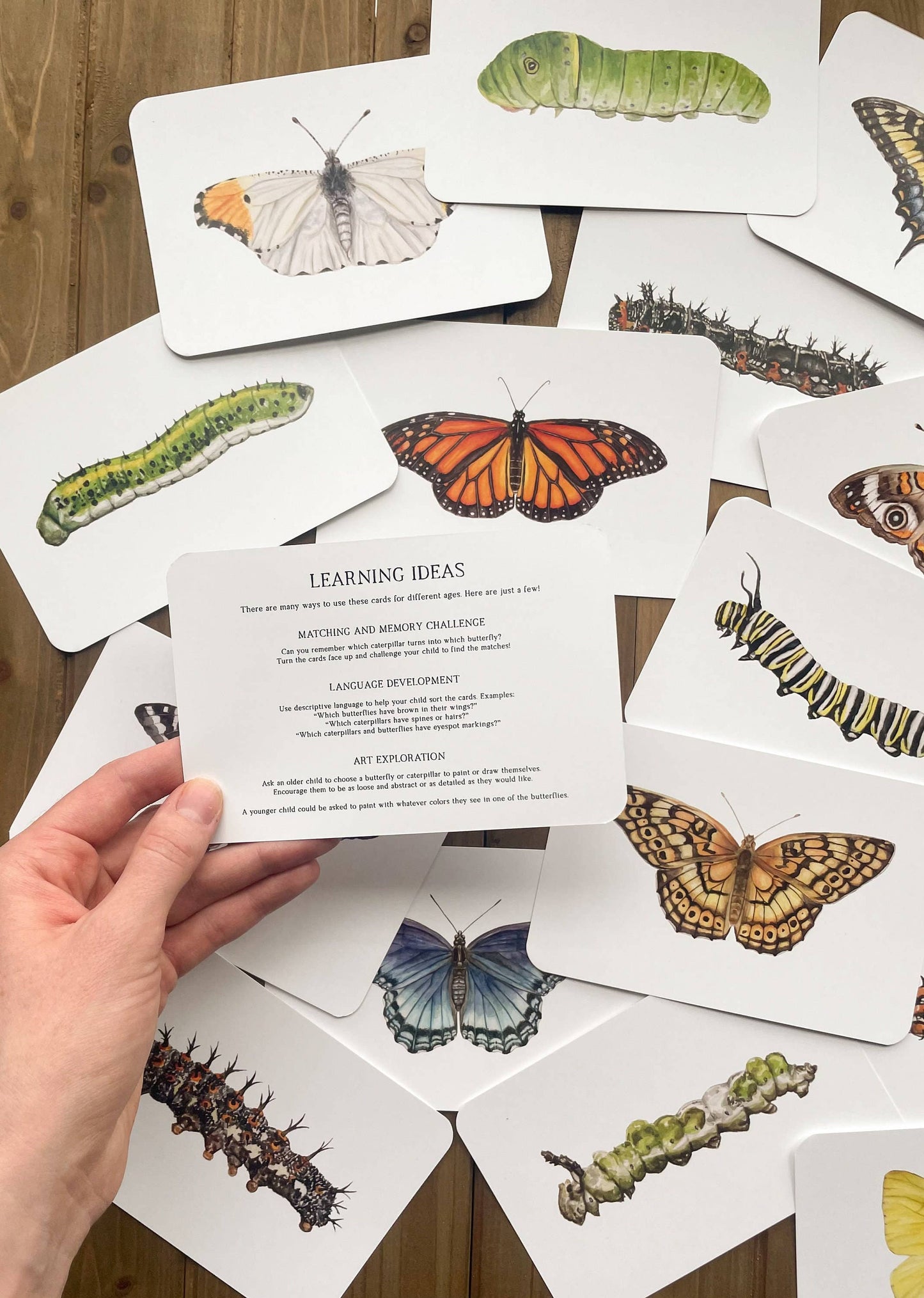Montessori Learning Cards - Butterflies and Caterpillars