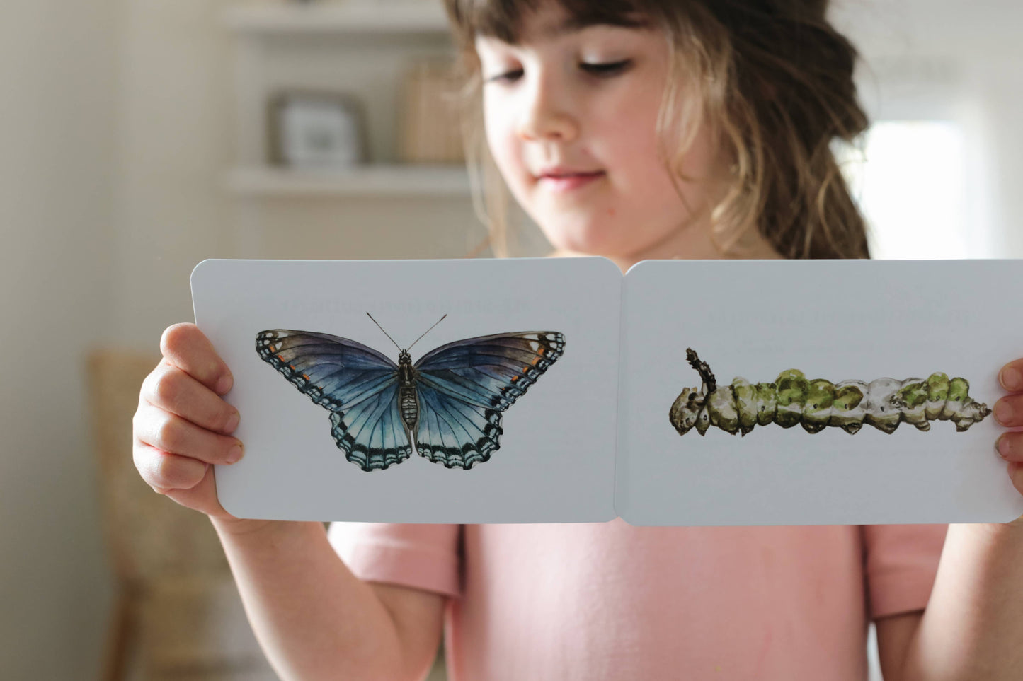Montessori Learning Cards - Butterflies and Caterpillars