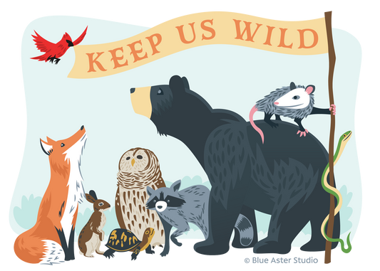 Sticker - Keep Us Wild