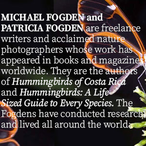 Book - Natural History of Flowers (Gideon Lincecum Nature and Environment Series) by Michael Fogden and Patricia Fogden (Hardback)