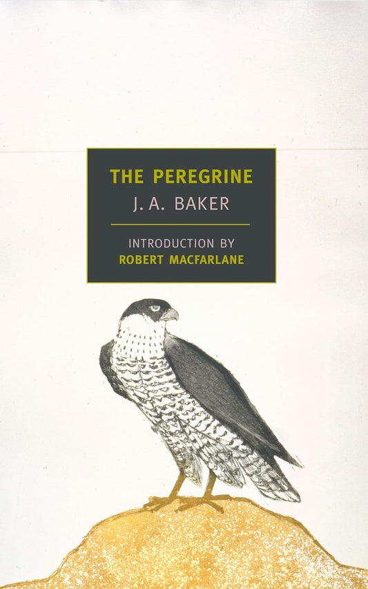 Book - The Peregrine (New York Review Books Classics) by J.A. Baker (Paperback)