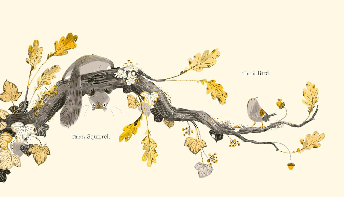 Book - Squirrel and Bird by Laura Baker (Hardback)