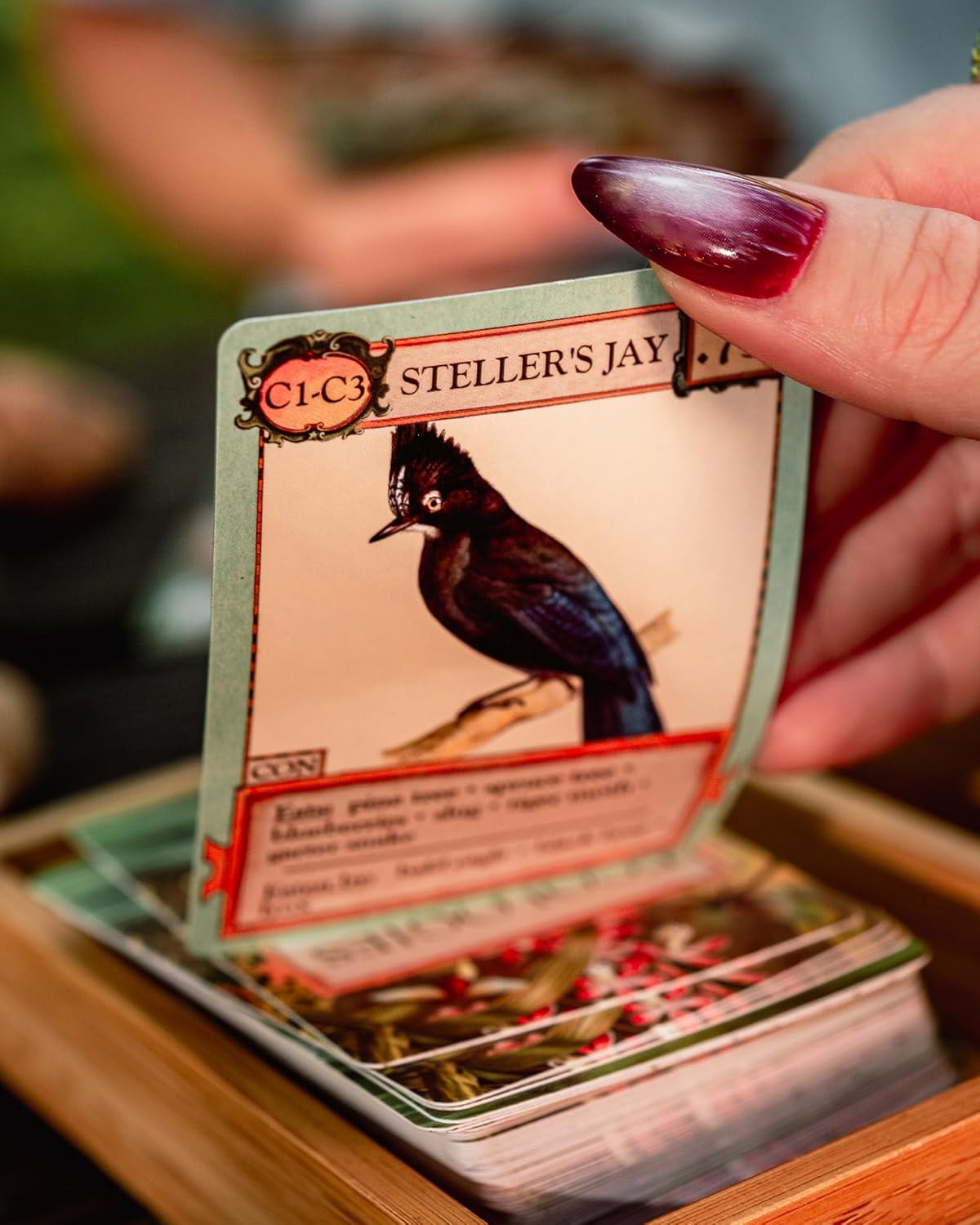 Games - Ecologies Card Game (Main Pack)