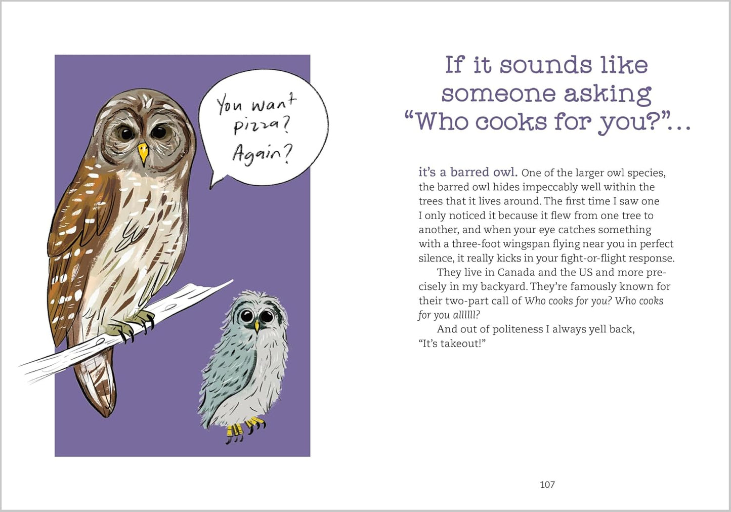 Book - Bird Talk: Hilariously Accurate Ways to Identify Birds by the Sounds They Make by Becca Rowland (Paperback)