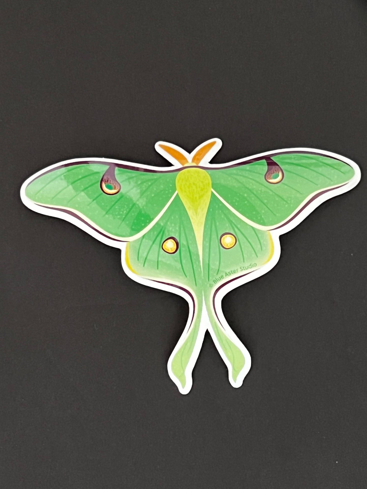 Sticker - Luna Moth