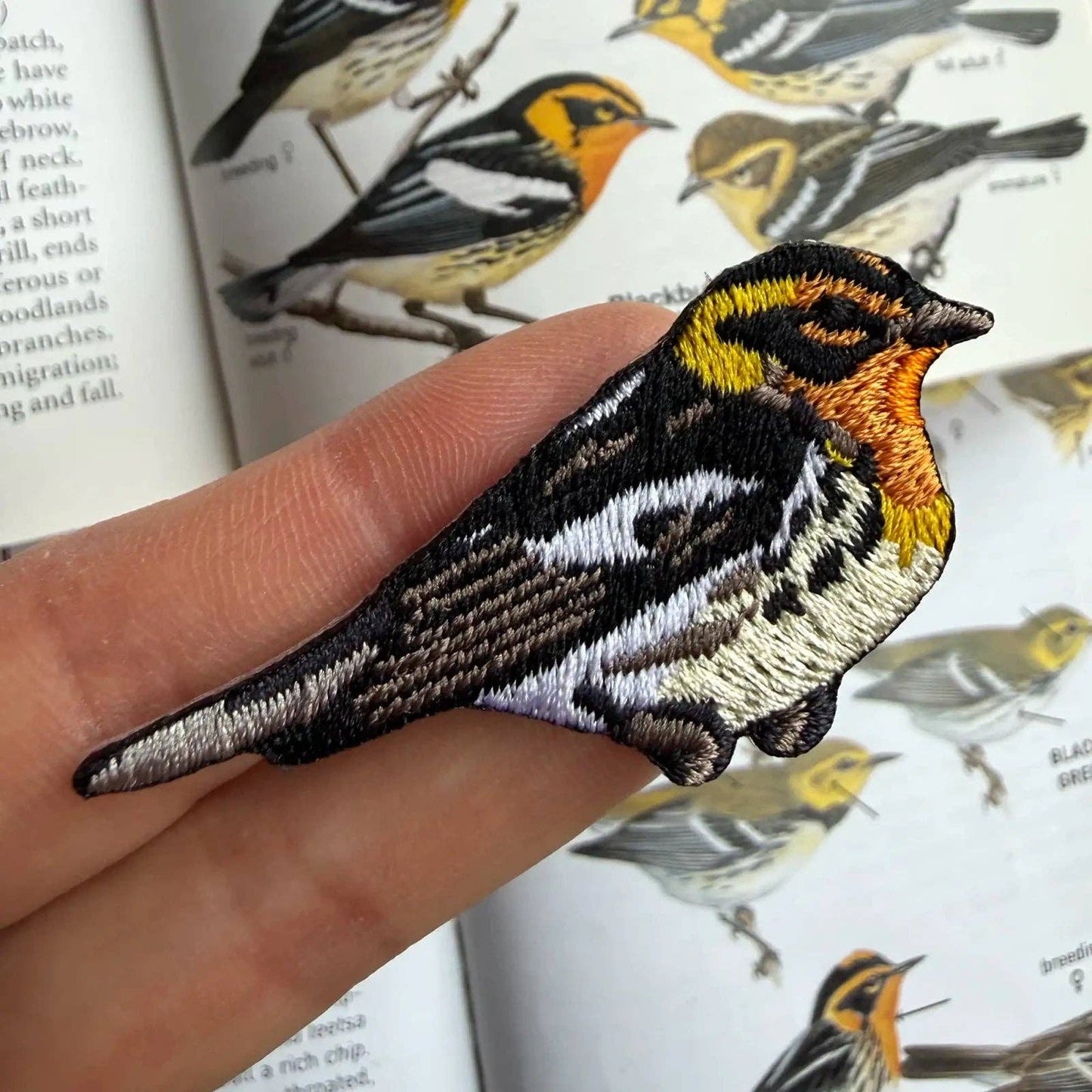 Bird Patch - Blackburnian Warbler (#82 of collection)