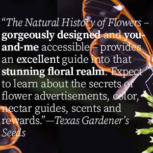 Book - Natural History of Flowers (Gideon Lincecum Nature and Environment Series) by Michael Fogden and Patricia Fogden (Hardback)