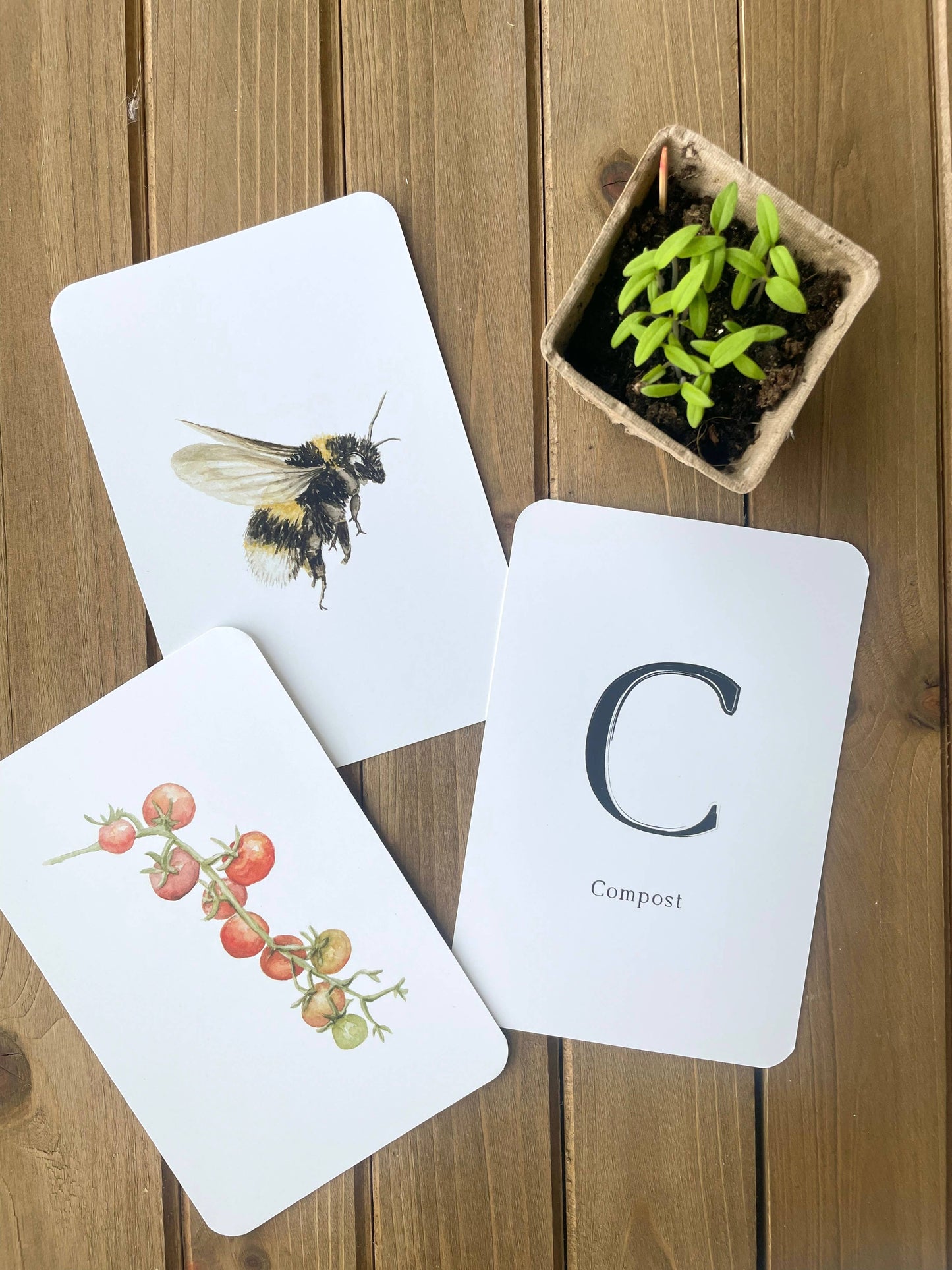 Montessori Learning Cards - Garden Alphabet