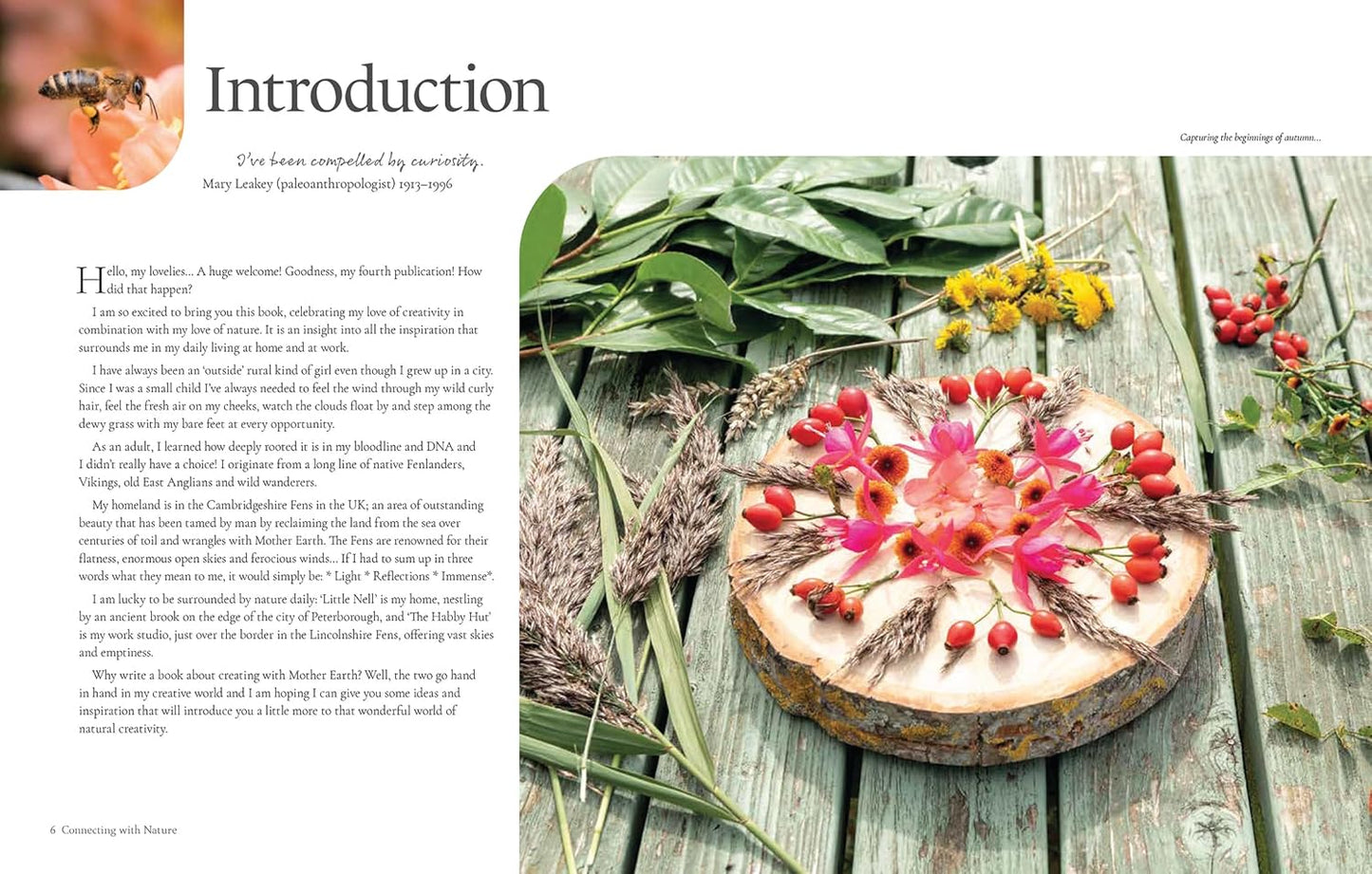 Book - Connecting With Nature: Mindful Stitching and Textile Art Through the Seasons by Tilly Rose (Paperback)