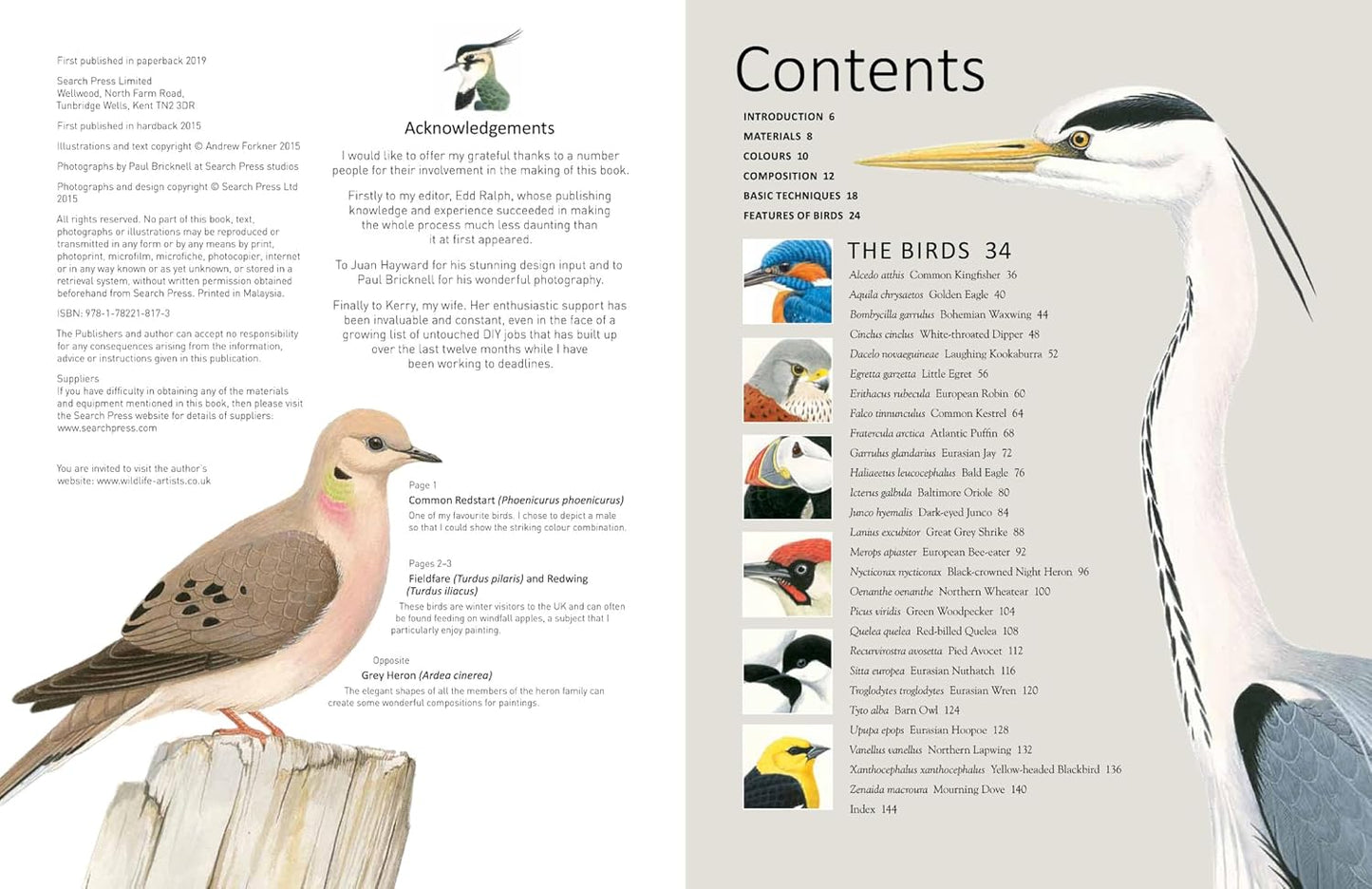 Book - A-Z of Bird Portraits: An illustrated guide to painting beautiful birds by Andrew Forkner (Paperback)