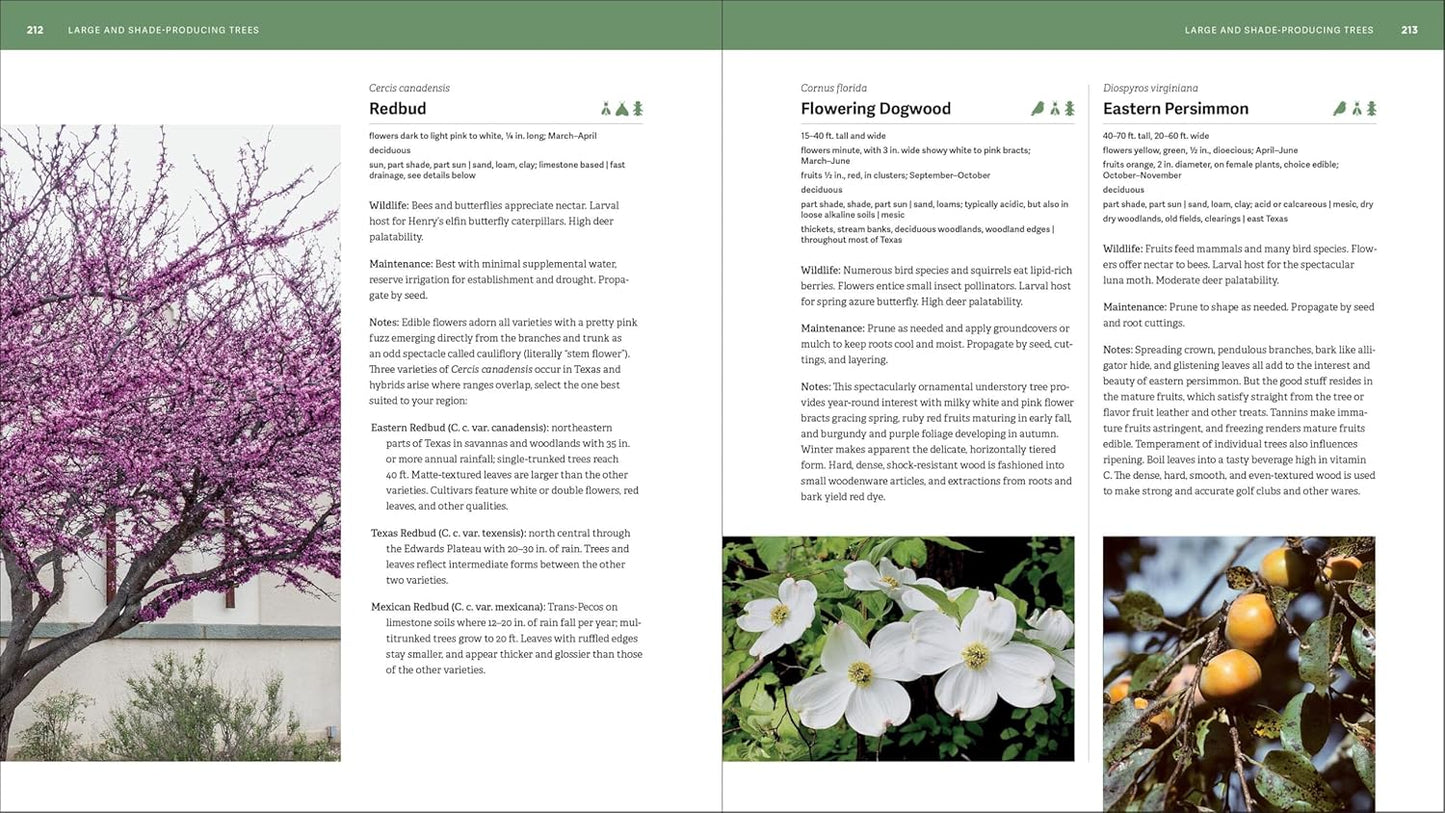 Book - The Texas Native Plant Primer: 225 Plants for an Earth-Friendly Garden by Ladybird Johnson Wildflower Center and Andrea DeLong-Amaya (Paperback)