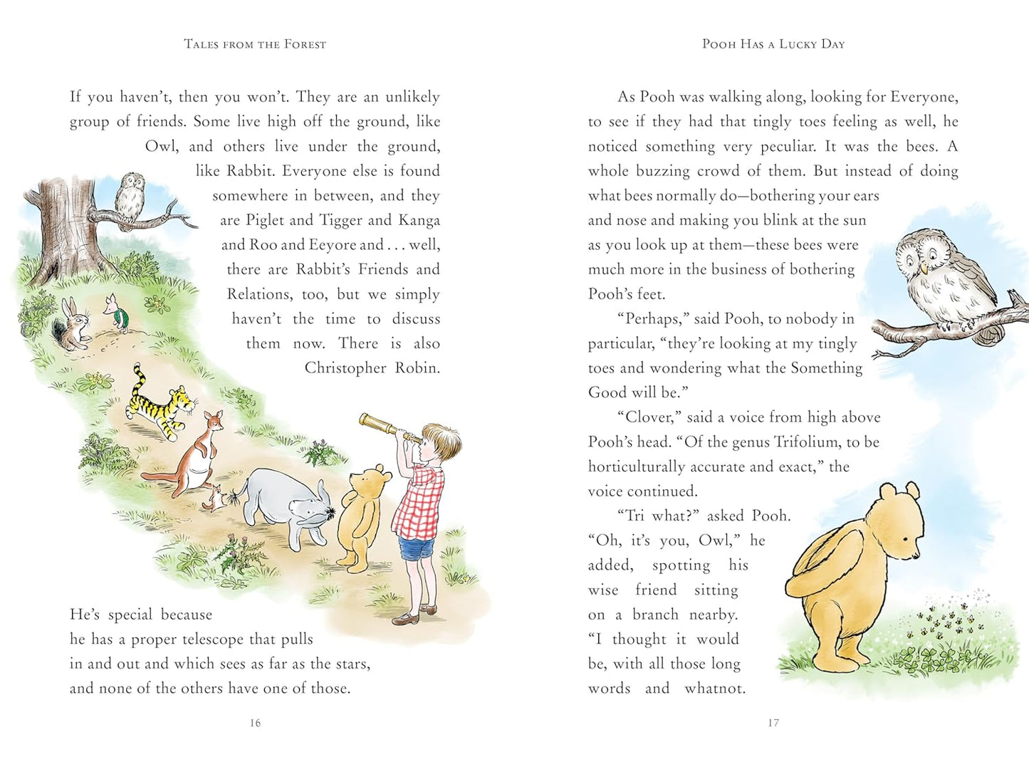 Book - Tales from the Forest (Winnie-the-Pooh) by Jane Riordan (Hardback)