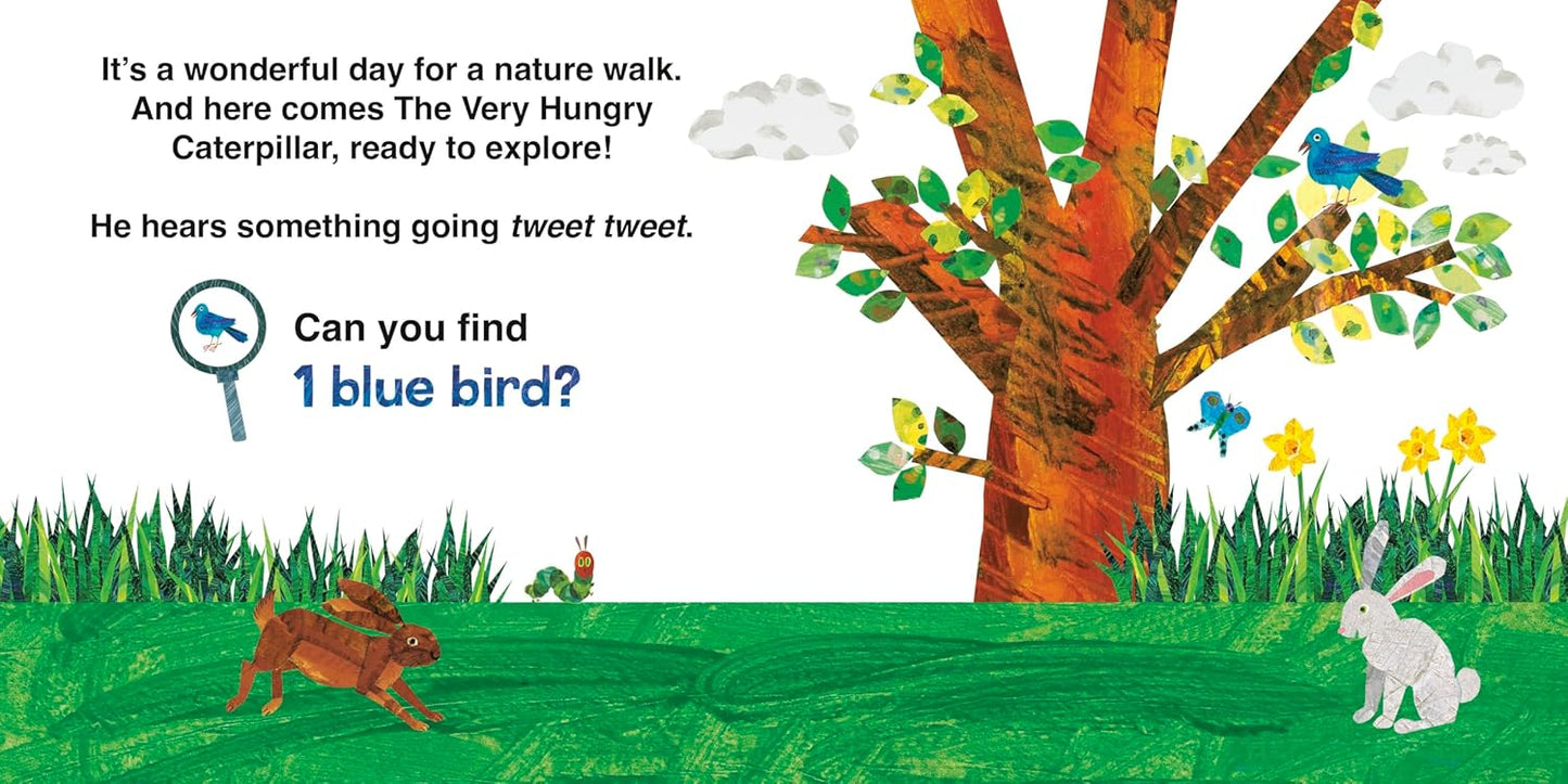 Book - The Very Hungry Caterpillar's Nature Walk: A Search-and-Find Book by Eric Carle (Board book)